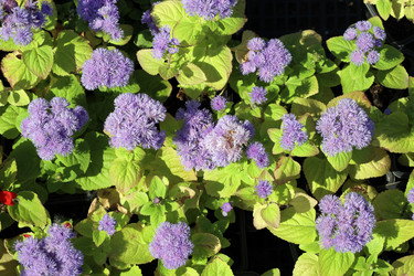 Similar image 21882147