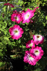 Similar image 21882149