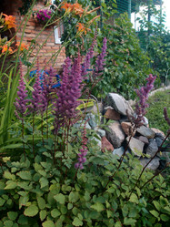 Similar image 21882090