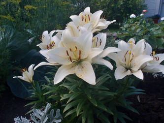 Similar image 21882091