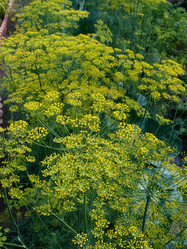 Similar image 21882092