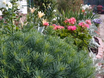 Similar image 21882093