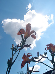 Similar image 21882094