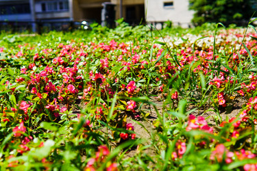 Similar image 21889003