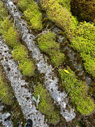 Similar image 21887063