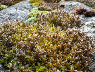 Similar image 21887069