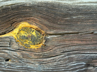 Similar image 21887078