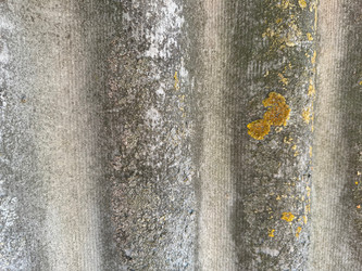 Similar image 21887079