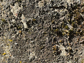 Similar image 21887083