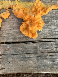 Similar image 21887084