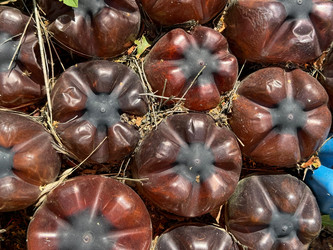 Similar image 21887085