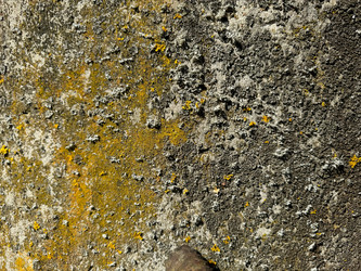 Similar image 21887086