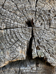 Similar image 21887087