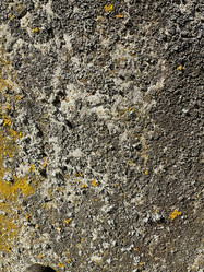 Similar image 21887088