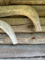 Similar image 21887091