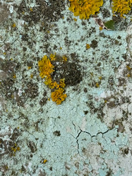 Similar image 21887092