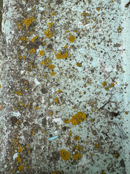 Similar image 21887096