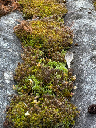 Similar image 21887099