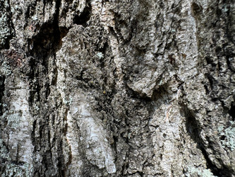 Similar image 21887100