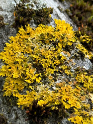 Similar image 21887103