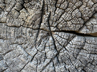 Similar image 21887105