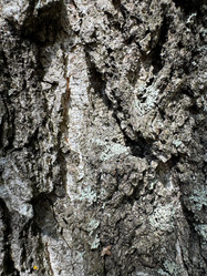 Similar image 21887108