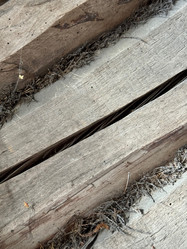 Similar image 21887555