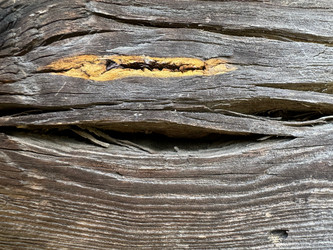 Similar image 21887557