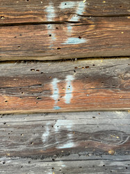 Similar image 21887558