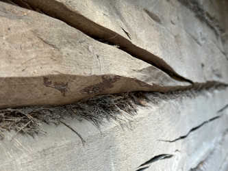 Similar image 21887560