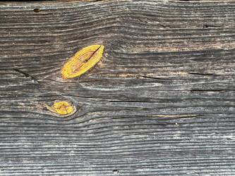 Similar image 21887562