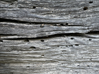 Similar image 21887566