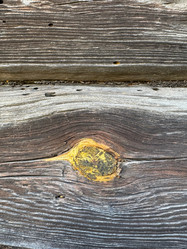 Similar image 21887571