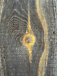 Similar image 21887572