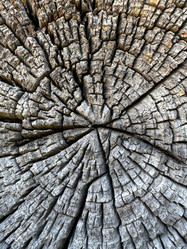 Similar image 21887574