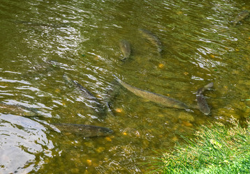 Similar image 21882237