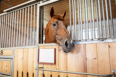 Similar image 21888917