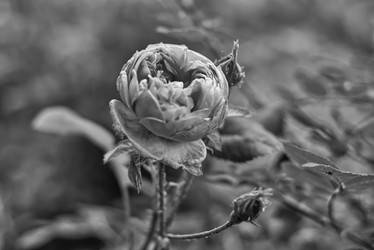 Similar image 21885235