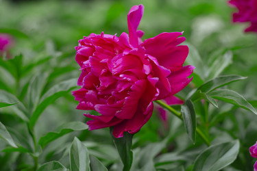 Similar image 21885236