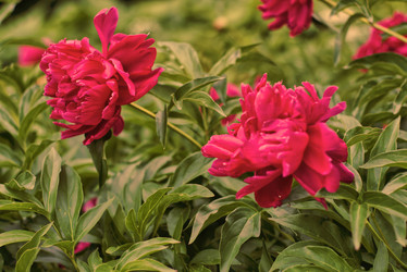 Similar image 21885237