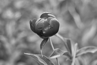 Similar image 21885239