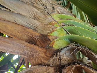 Similar image 21885242