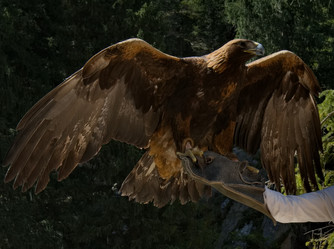 Similar image 21885394