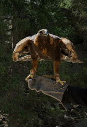 Similar image 21885395