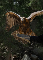 Similar image 21885397