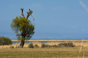 Similar image 21885594