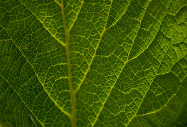 Similar image 21885595