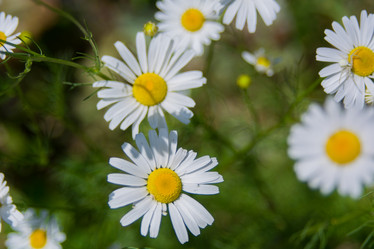 Similar image 21885598