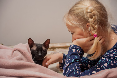 Similar image 21885600