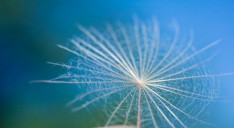 Similar image 21885601